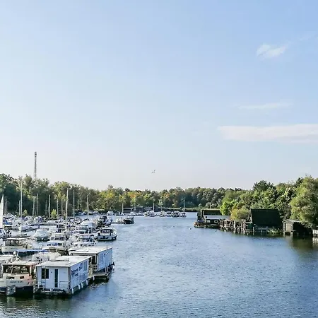 Amazing In * רשלין